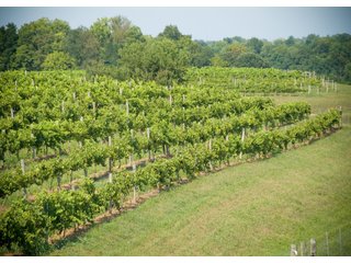Property photo 24 - REAL ESTATE & RESTAURANT/WINE EQUIPMENT